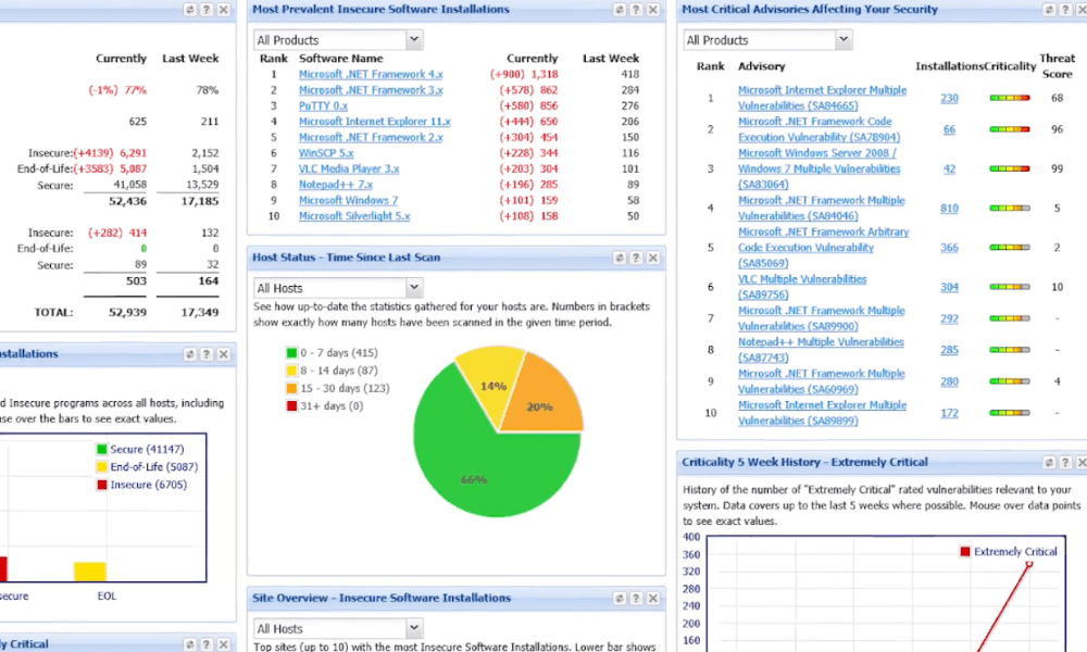 Software Vulnerability Management Program