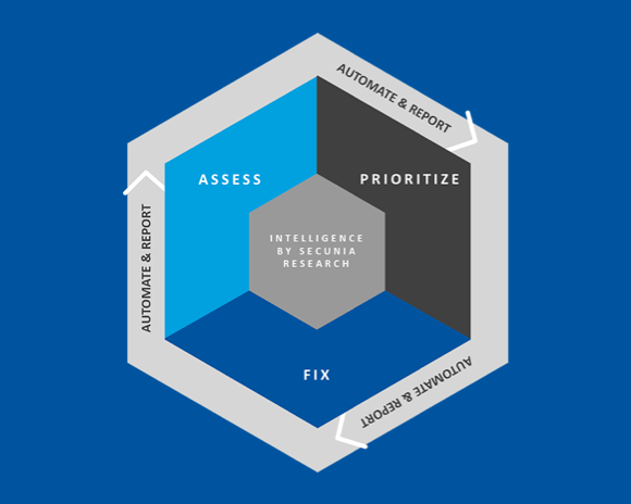 Software Vulnerability Management Graph