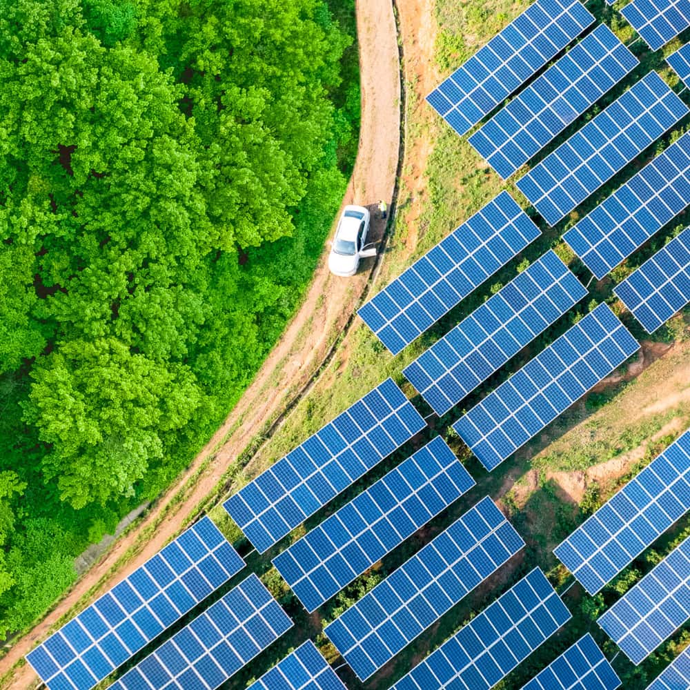 Flexera ESG initiatives