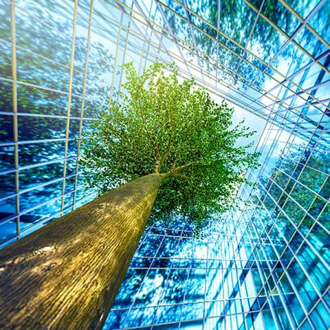 SBTi: Our promise for ambitious climate action