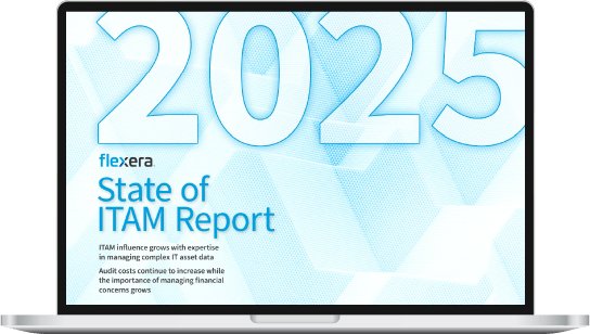 Flexera 2025 State of ITAM Report