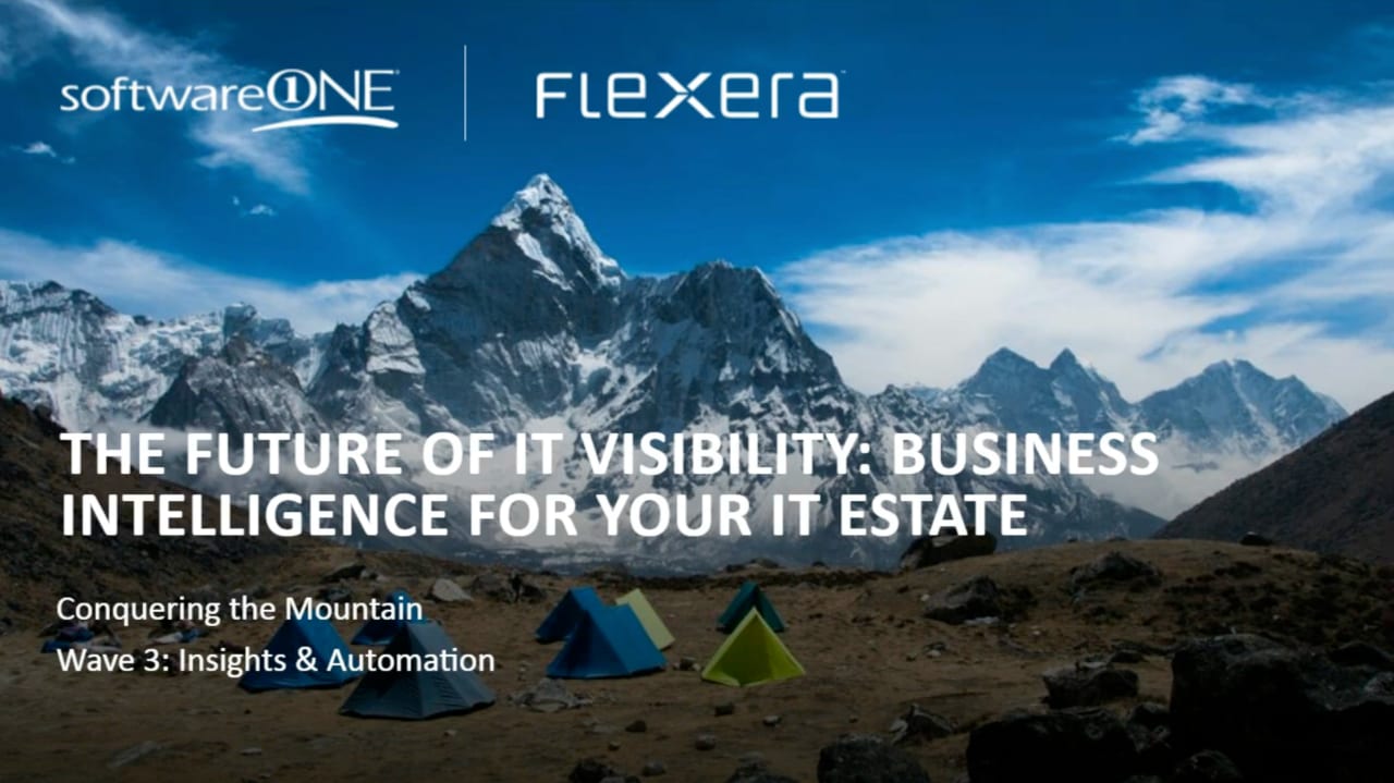 The future of IT visibility: Business intelligence for your IT estate