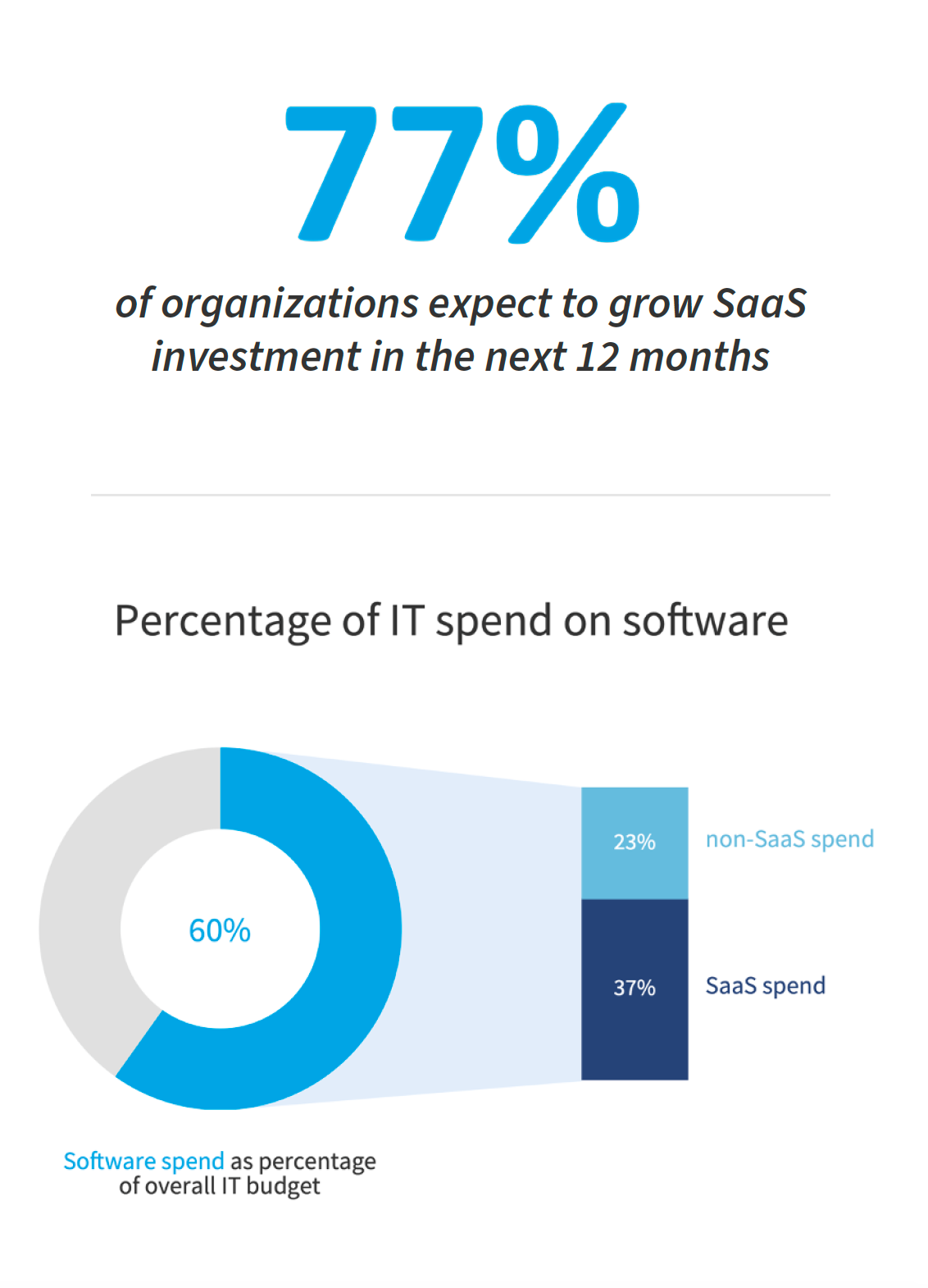 Percentage of IT spend on software