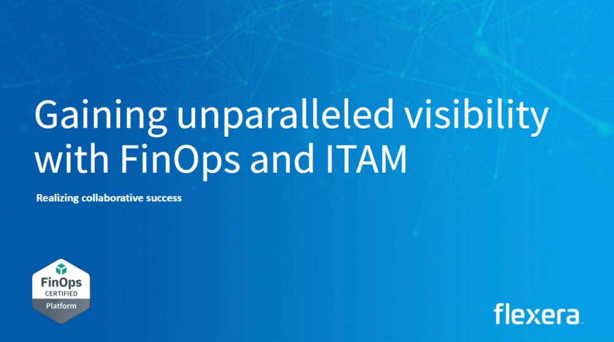 Gaining unparalleled visibility with FinOps and ITAM